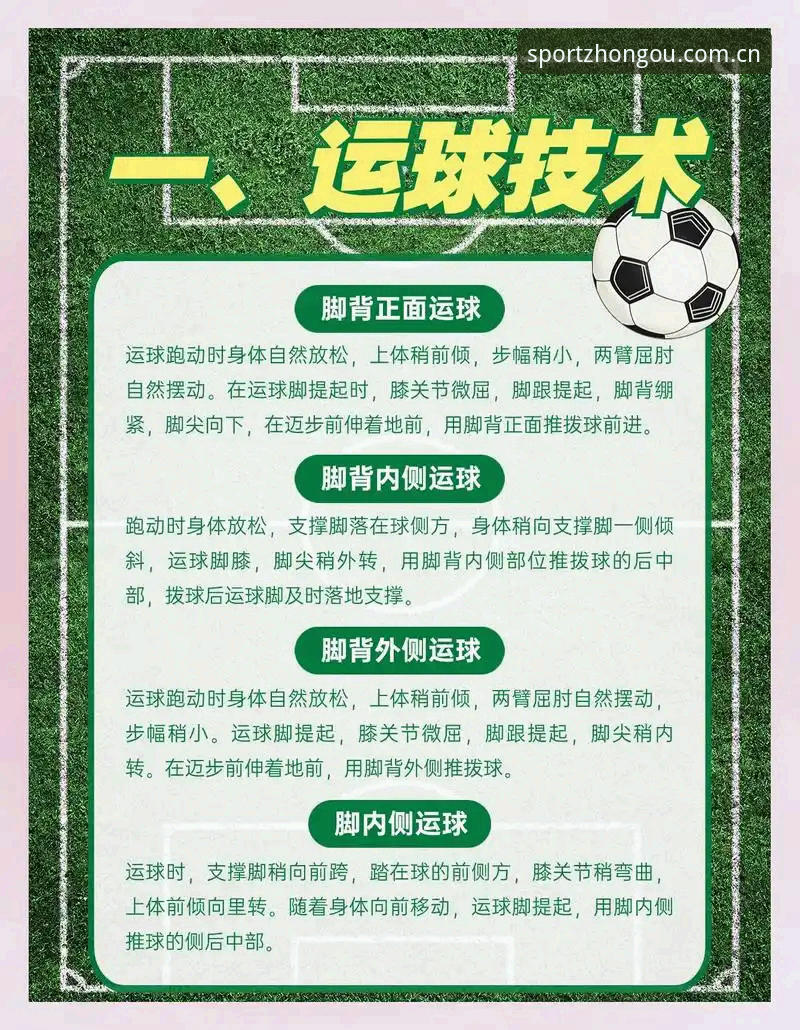 中欧体育手机版用户实战指南：从注册到极致体验的完整操作手册